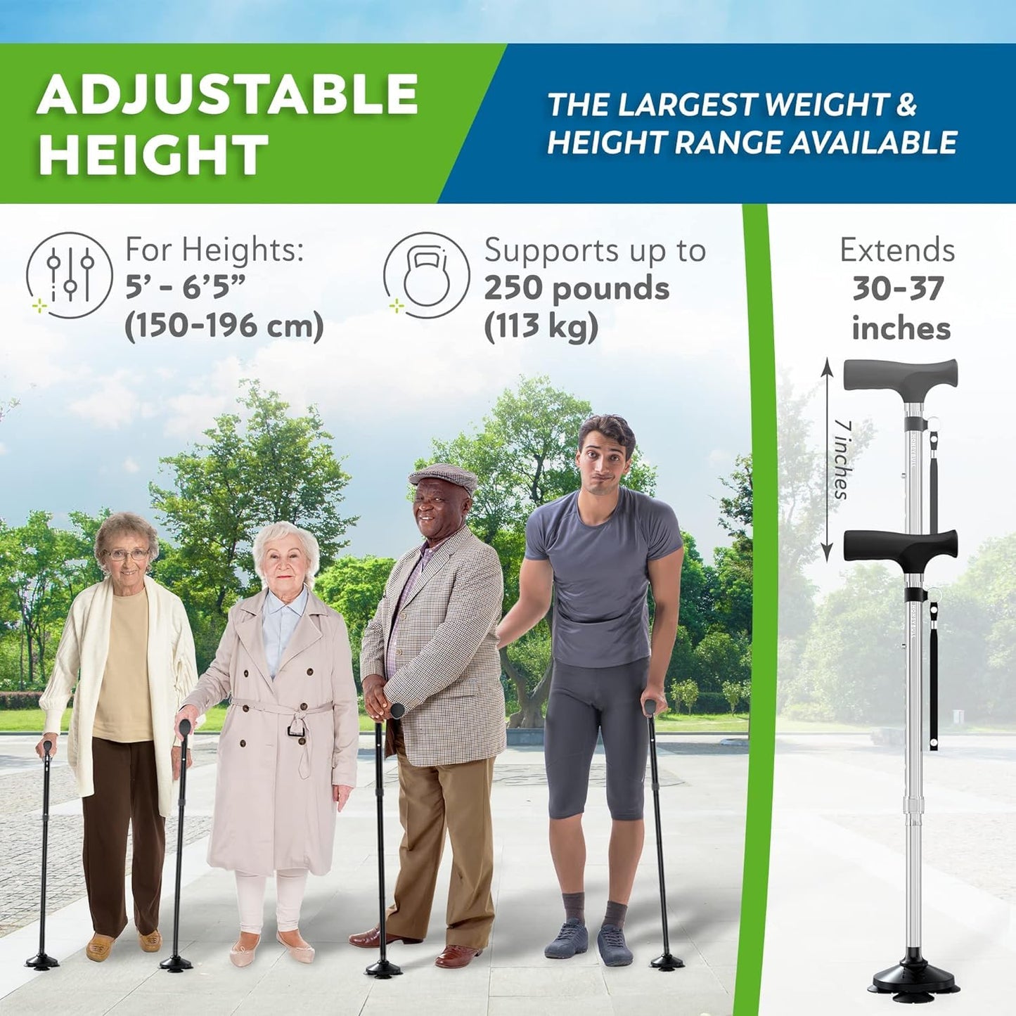 HONEYBULL Walking Cane for Men & Women – Foldable, Adjustable & Heavy-Duty Mobility Aid