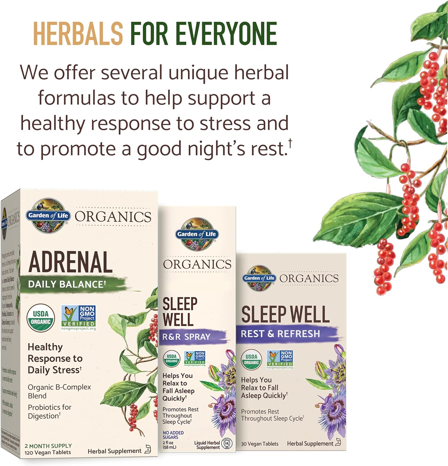 Garden of Life Organics Adrenal Daily Balance, Adaptogenic Herbs Ashwagandha, Holy Basil, B Complex & Probiotics, Organic Non-GMO, Vegan, Gluten Free Supplement, Two Month Supply, 120 Tablets