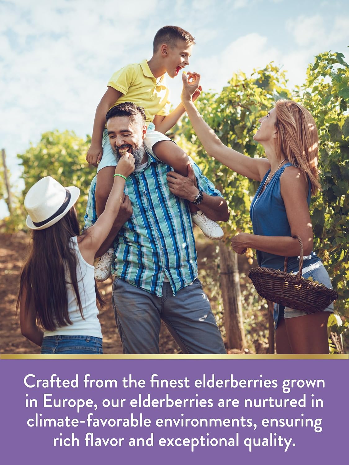 Nature's Truth Elderberry Immune Complex | 60 Chewable Tablets | Plus Vitamin C & Zinc | Mixed Berry | Vegan, Non-GMO, & Gluten Free Supplement