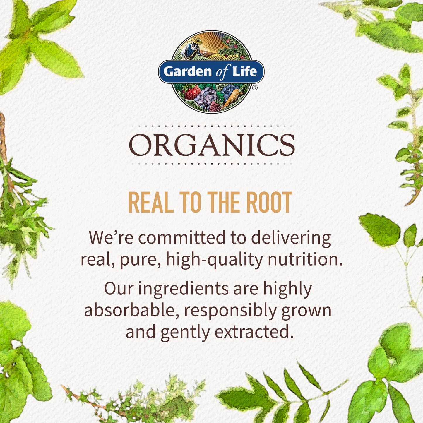 Garden of Life Organics Plant Calcium Supplement Made from Whole Foods with Magnesium, Vitamin D as D3, and Vitamin K as MK7, Gluten-Free - 60 Day Count
