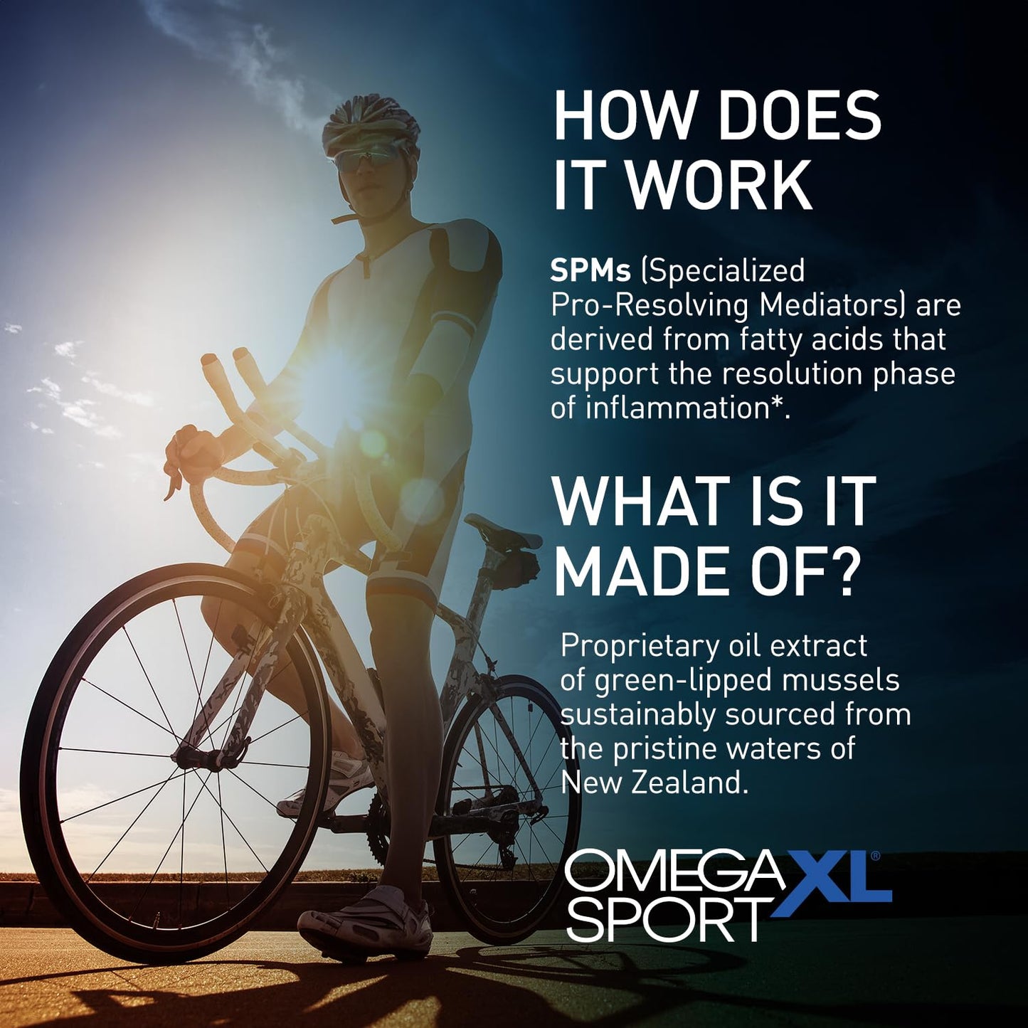 OmegaXL Joint Support Supplement – Advanced Joint & Muscle Relief