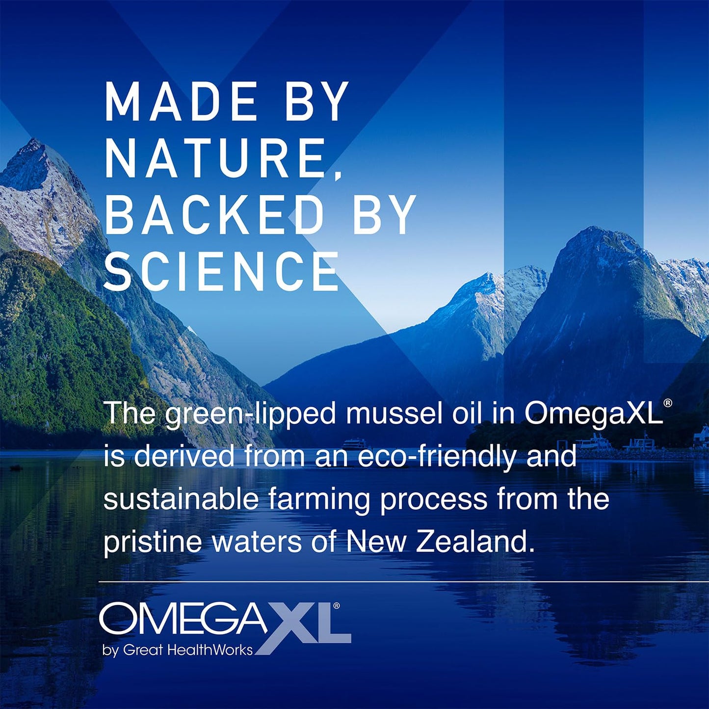 OmegaXL Joint Support Supplement – Advanced Joint & Muscle Relief