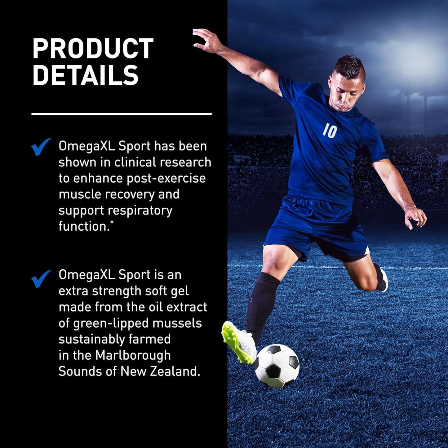 OmegaXL Joint Support Supplement – Advanced Joint & Muscle Relief