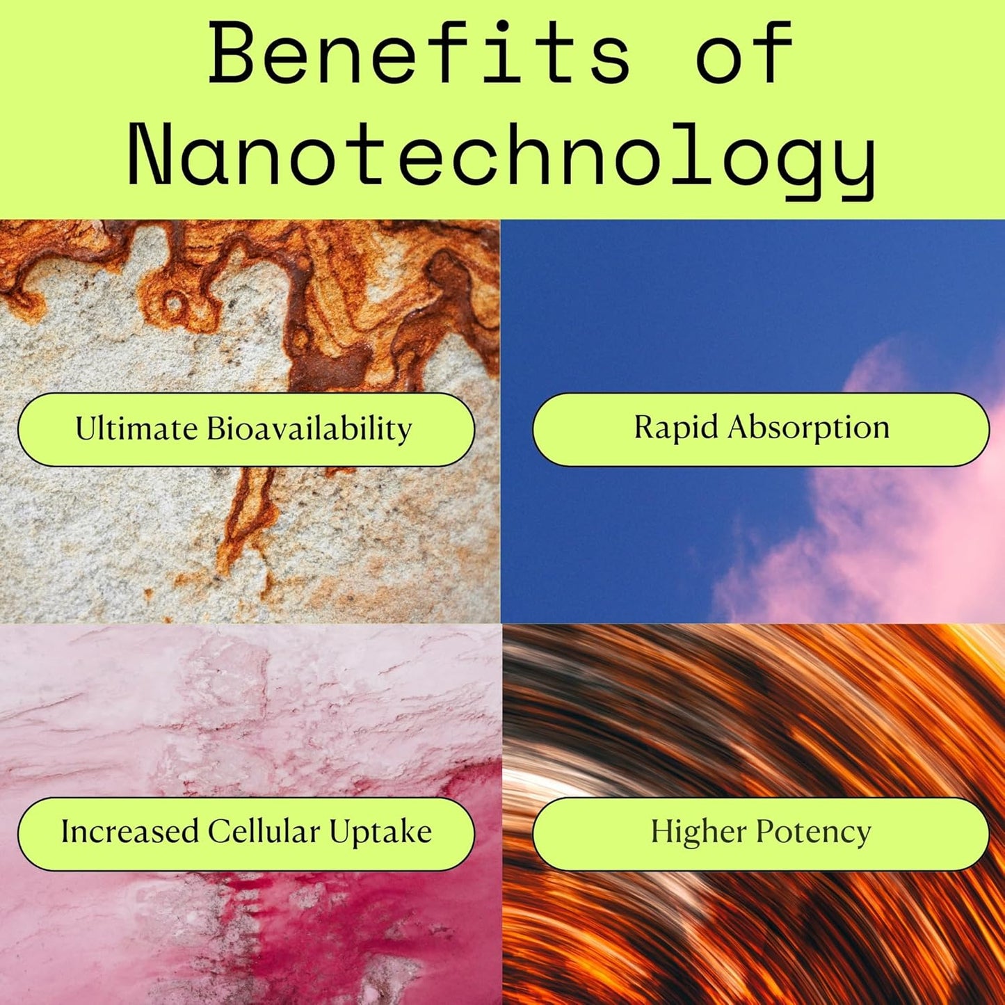 Greedy® Essential Brain Health™ – Nanotechnology Brain Supplement Supports Mental Alertness, Memory, Focus & Concentration. NanoCap® with Bacopa, Ginkgo, Phosphatidylserine, B Vitamins – 60 Softgels